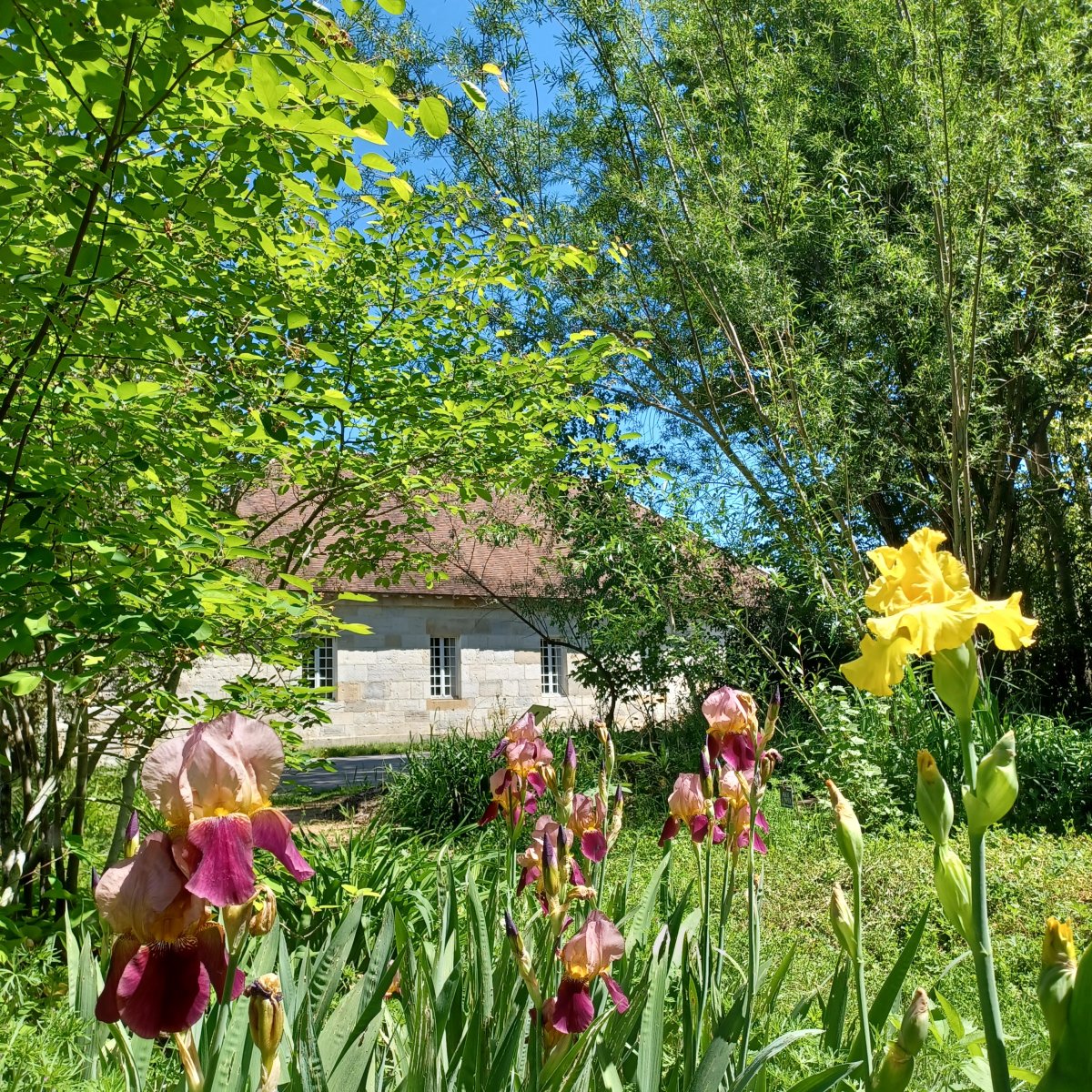 Photo du site de la Saline Royale d'Arc-et-Senans