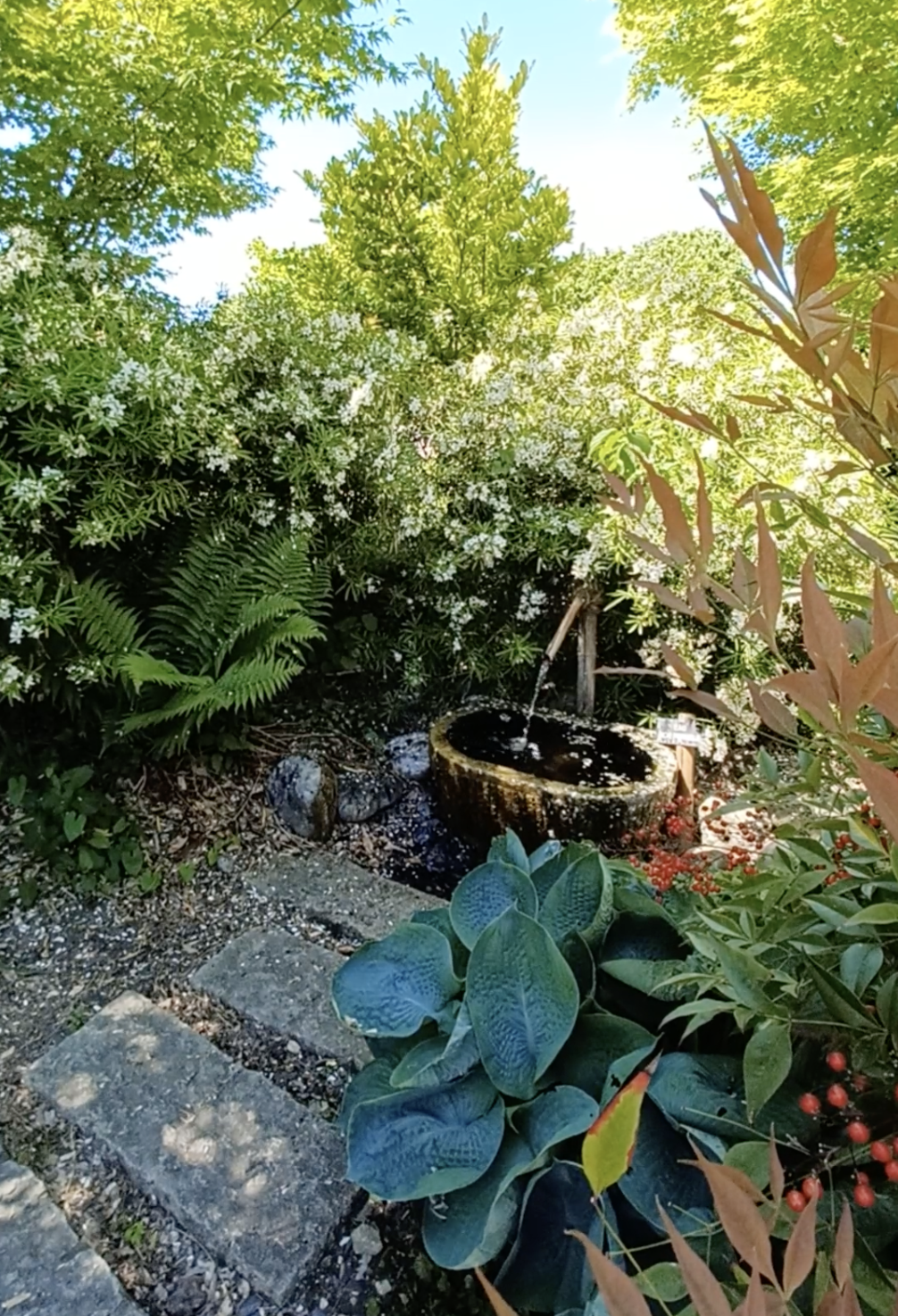 Photo de la fontaine du jardin Zen de la Saline Royale d'Arc-et-Senans